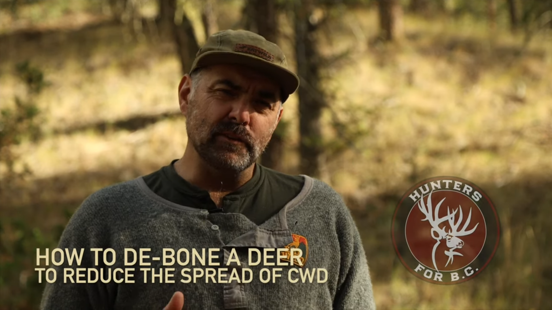 Deboning a deer for CWD sampling in British Columbia