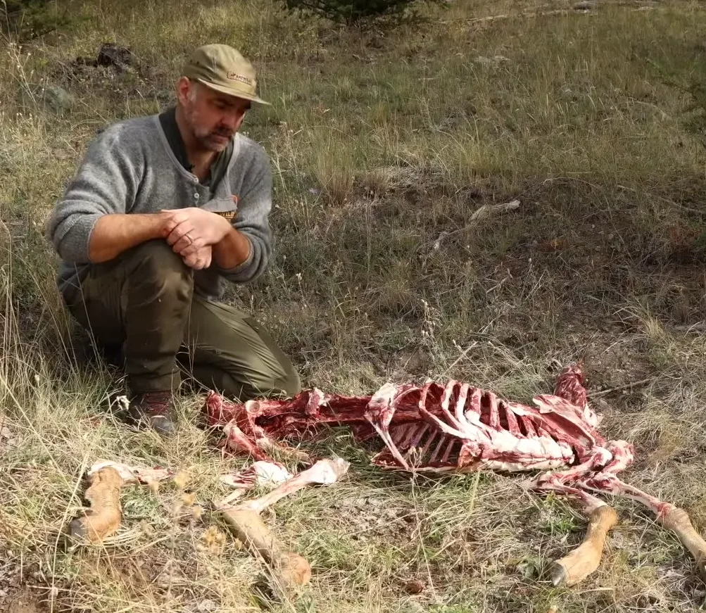 Processing a deer in a CWD management area