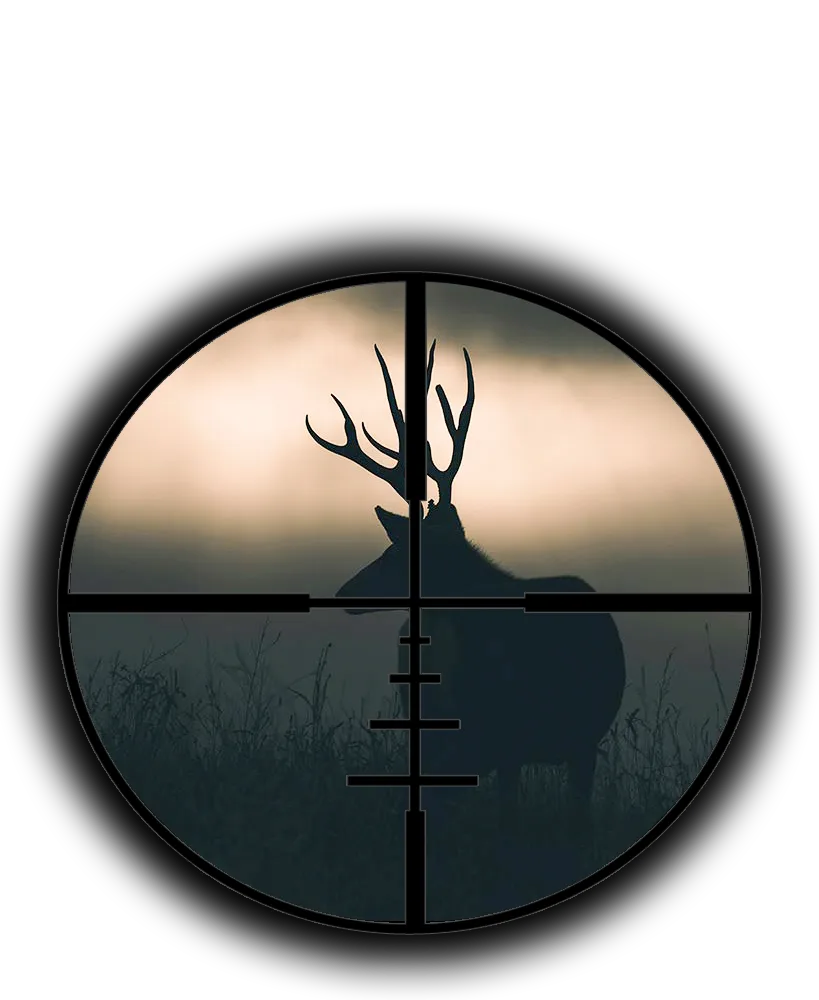 Chronic Wasting Disease (CWD) Information for Hunters in BC