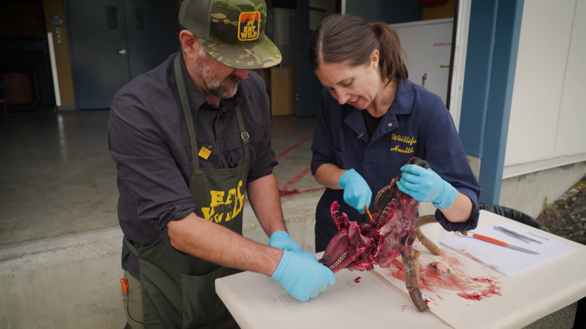 Euro Mount CWD Sample